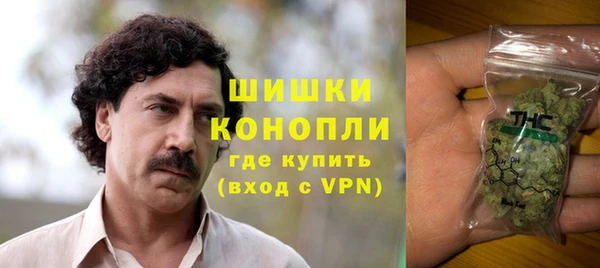 ПСИЛОЦИБИНОВЫЕ ГРИБЫ Верея