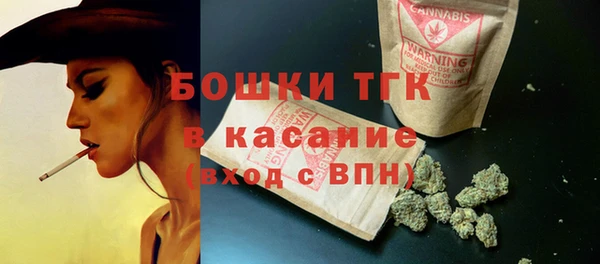 ПСИЛОЦИБИНОВЫЕ ГРИБЫ Верея