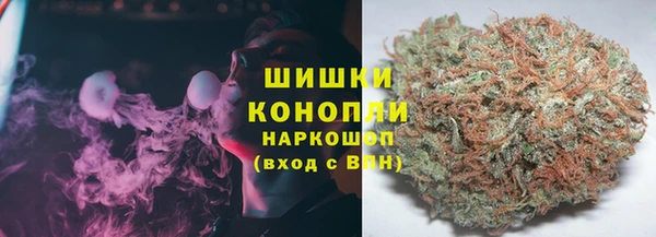 ПСИЛОЦИБИНОВЫЕ ГРИБЫ Верея