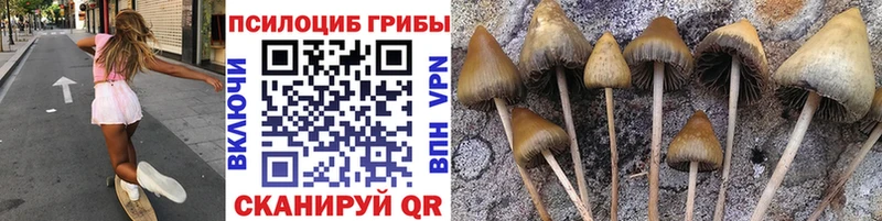 Псилоцибиновые грибы GOLDEN TEACHER  kraken ССЫЛКА  Очёр  закладки 